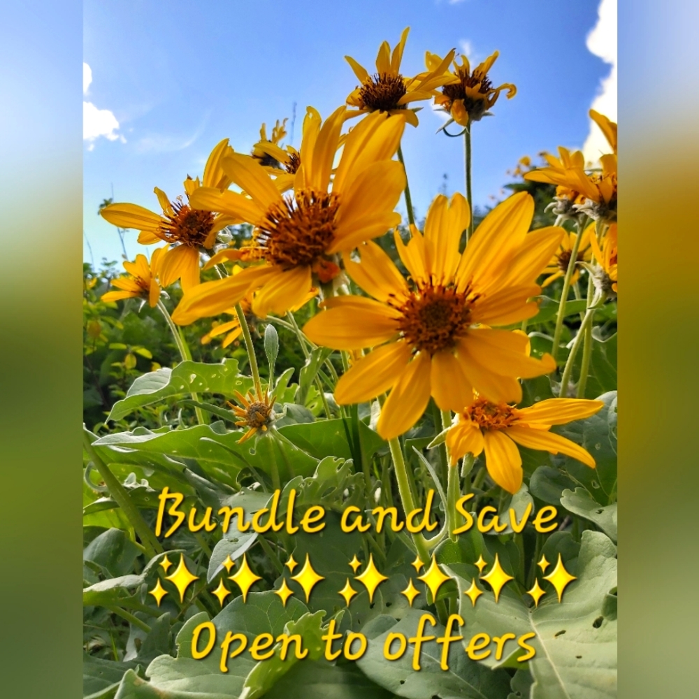 Bundle and Save